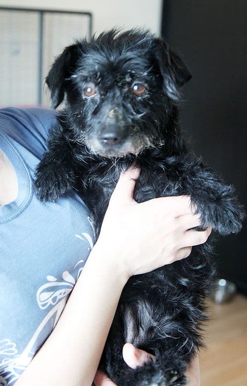 Жуля