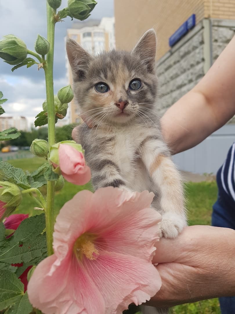 Карамелька