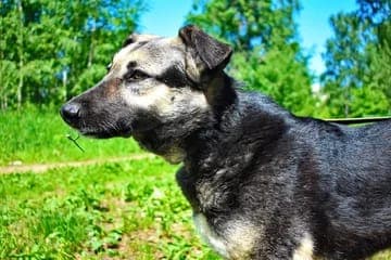 Тоня