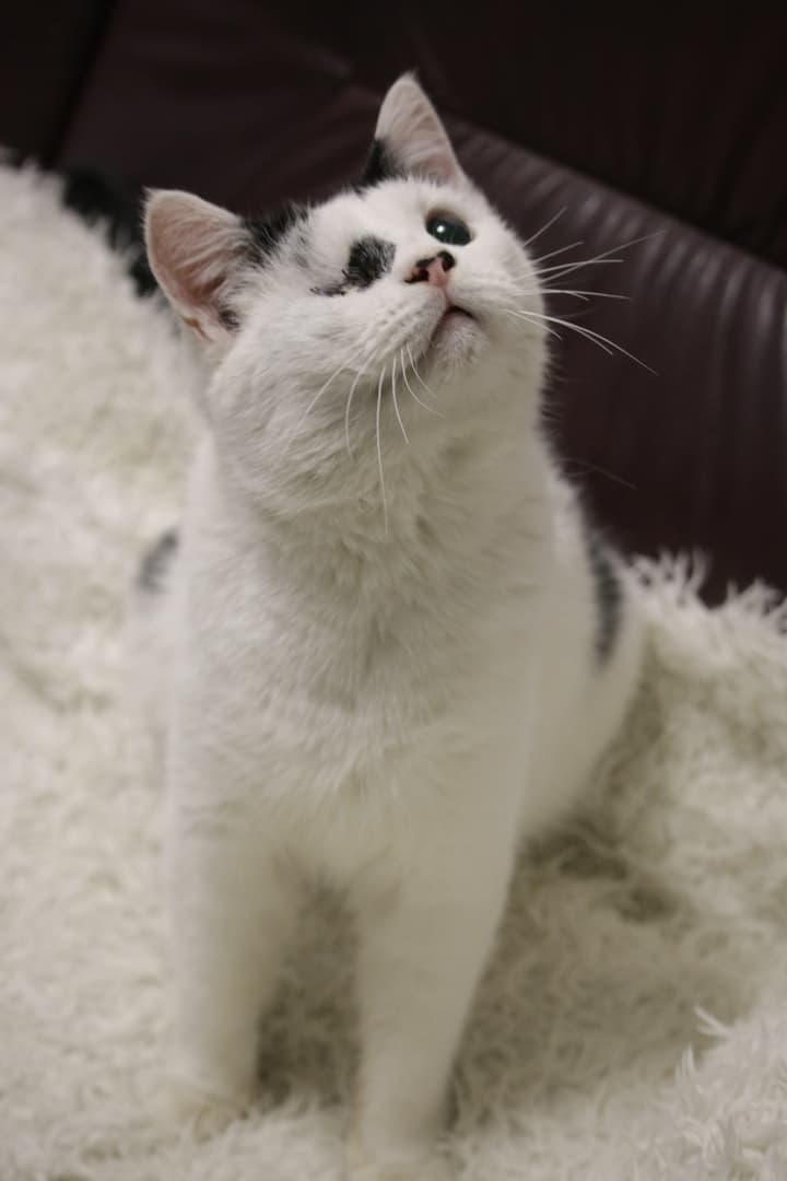 Корсар