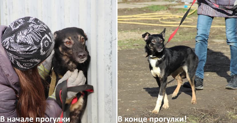Соломония
