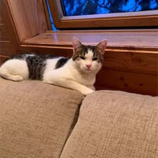 Счастливая история