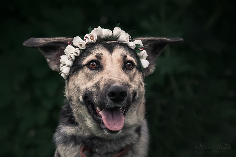 Марта