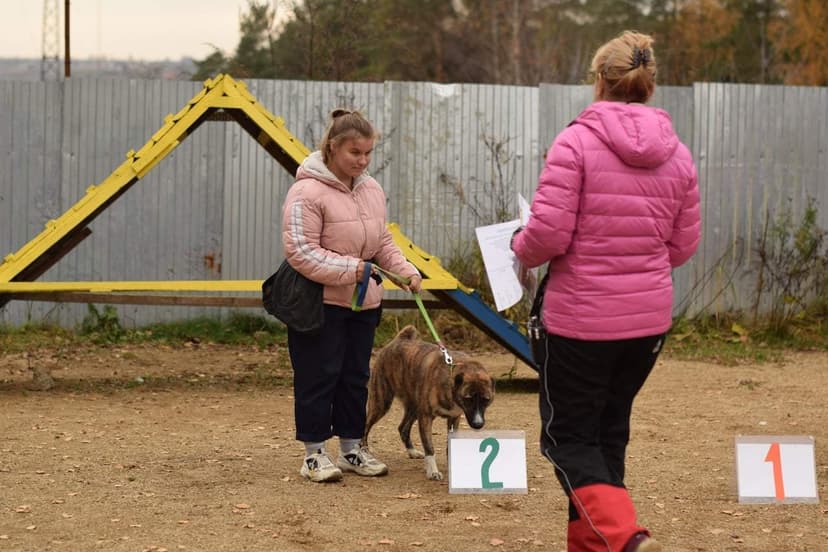 Геля