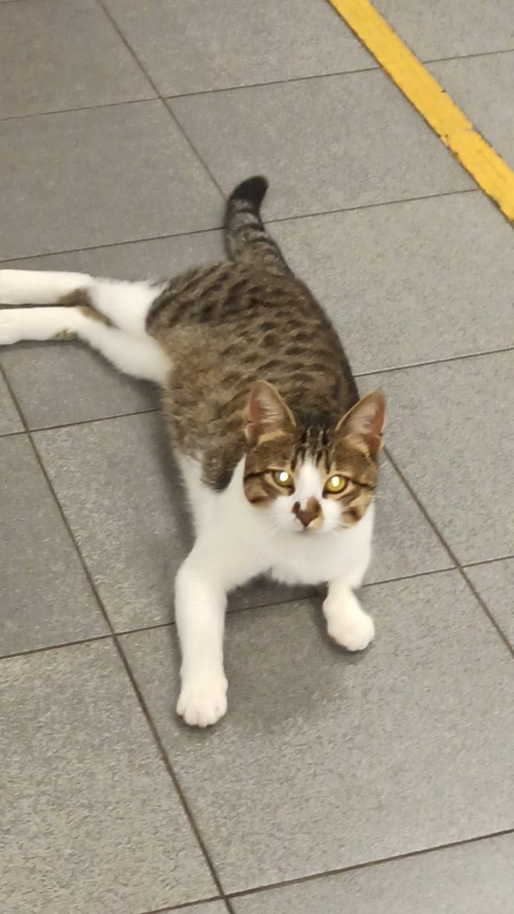 Ким