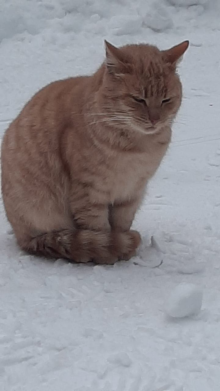 Астрал