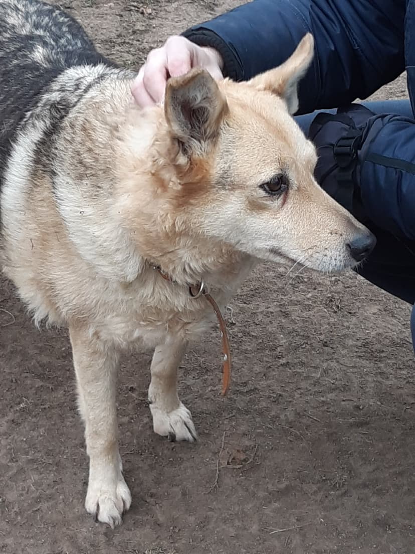 Ронечка 