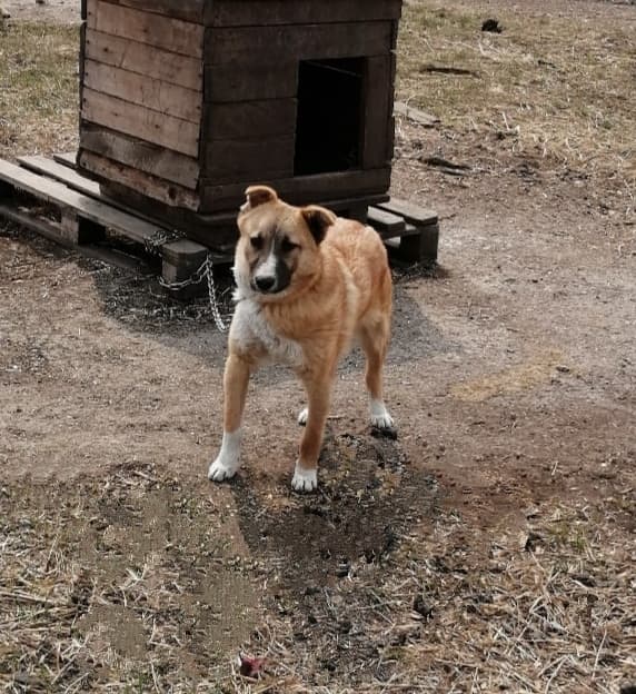 Вест