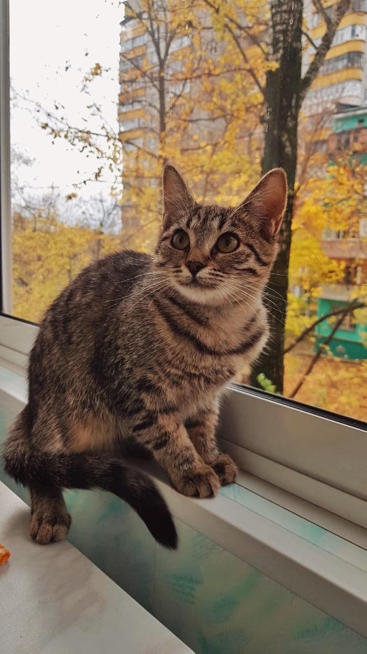 Ешка
