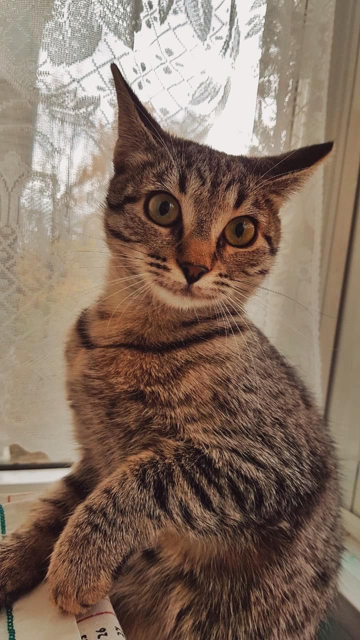 Ешка
