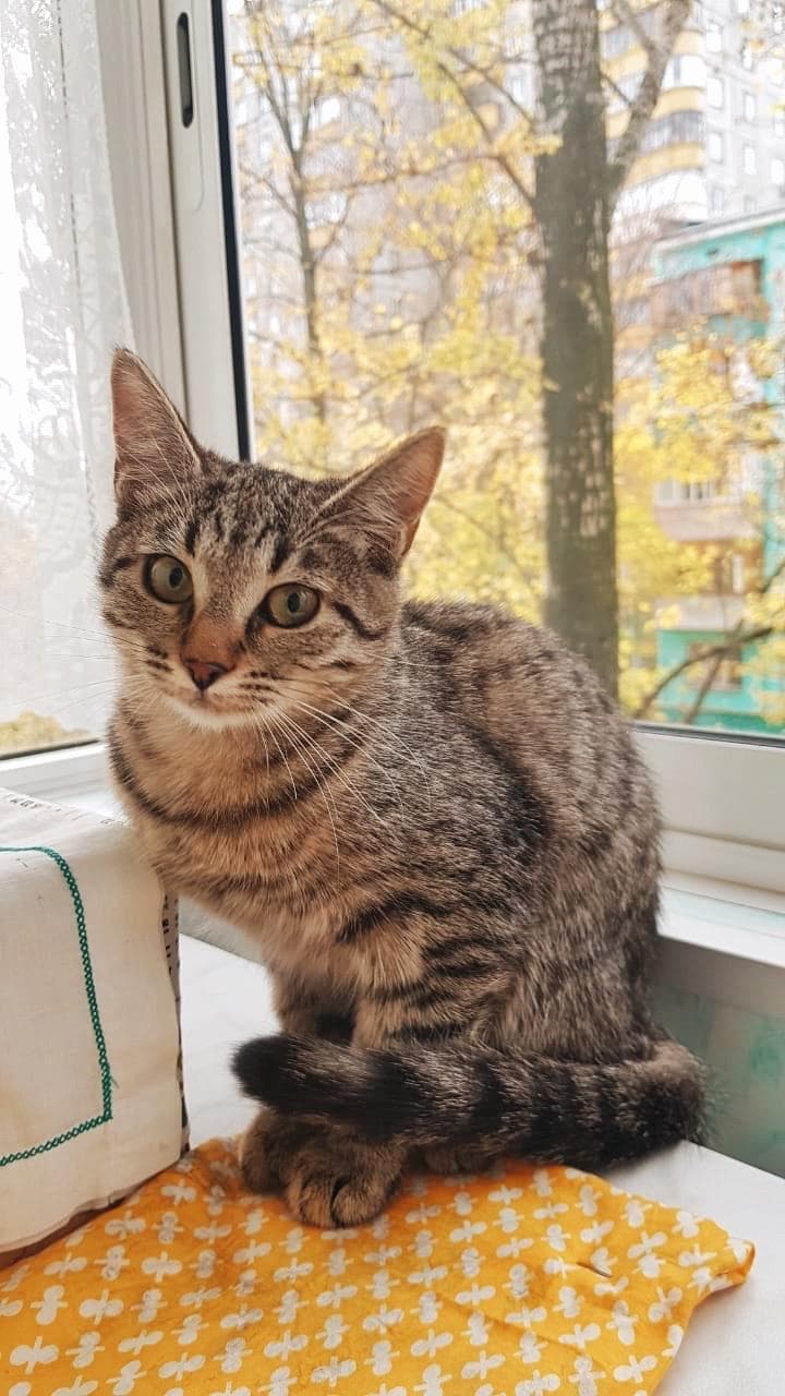 Ешка