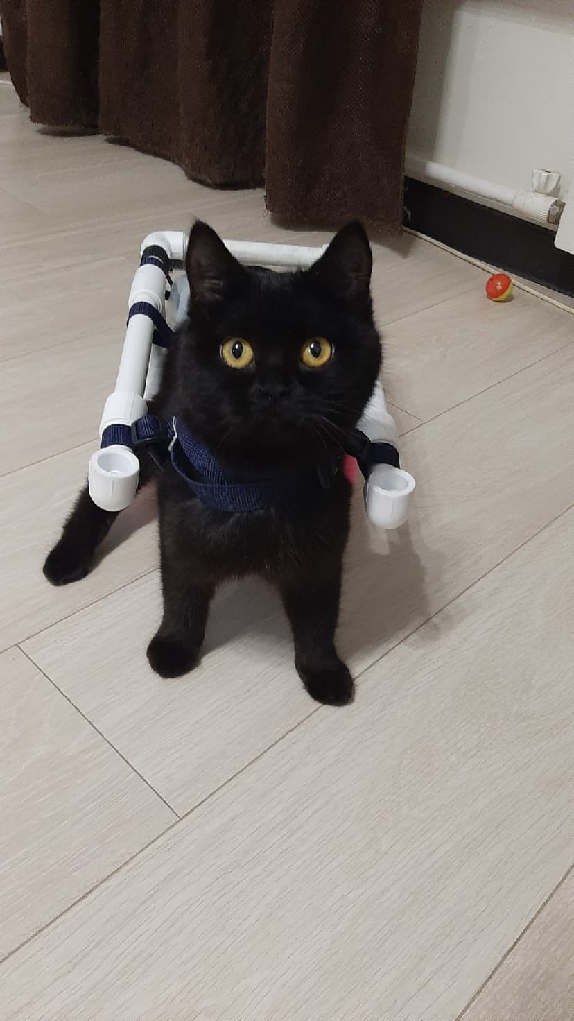 Клякса