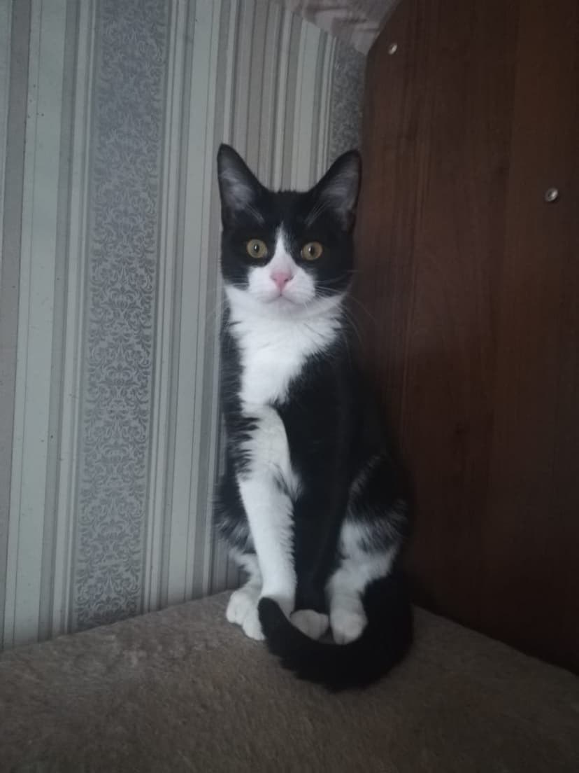 Филиппчик
