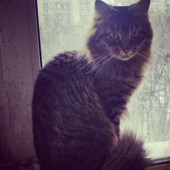 Вася