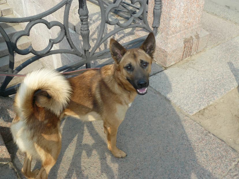 Лерик