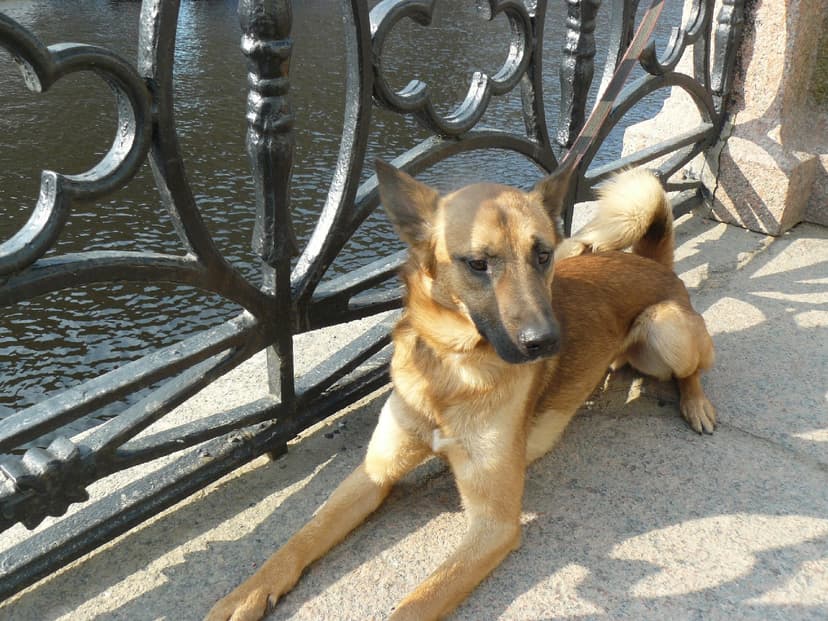 Лерик