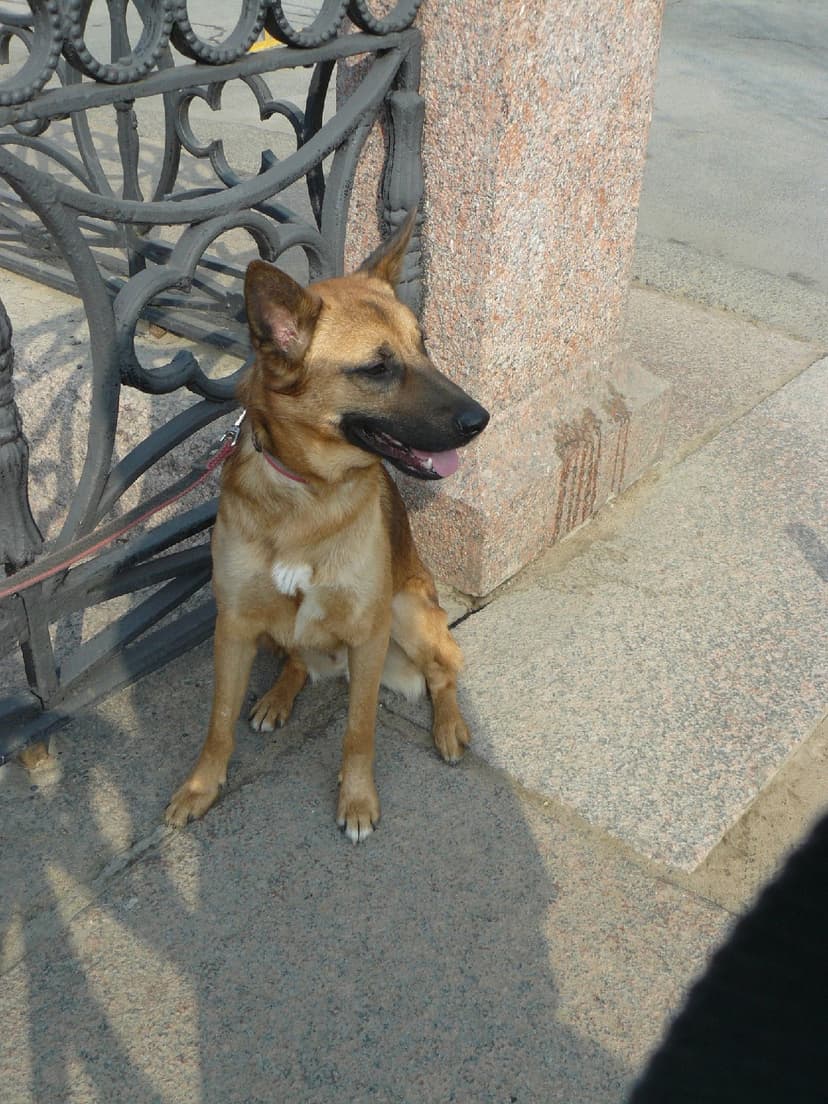 Лерик