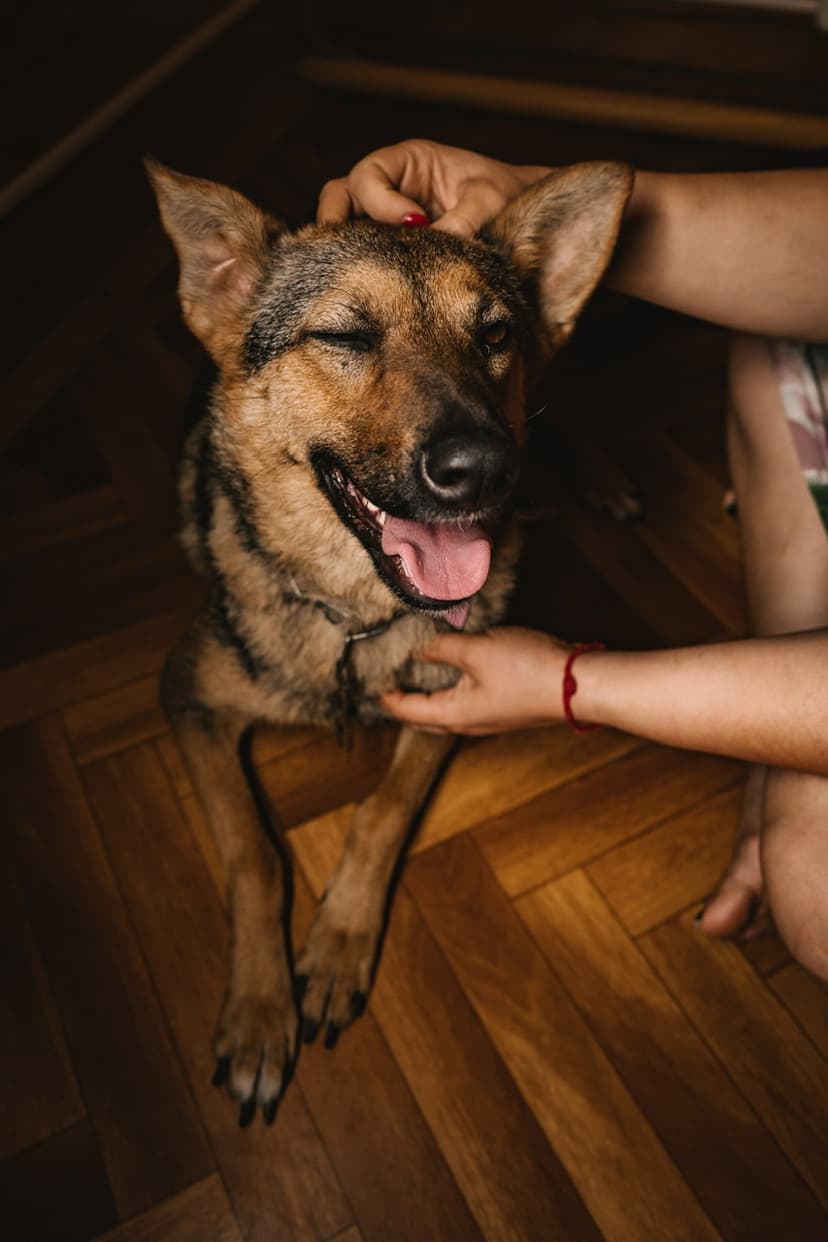 Альма