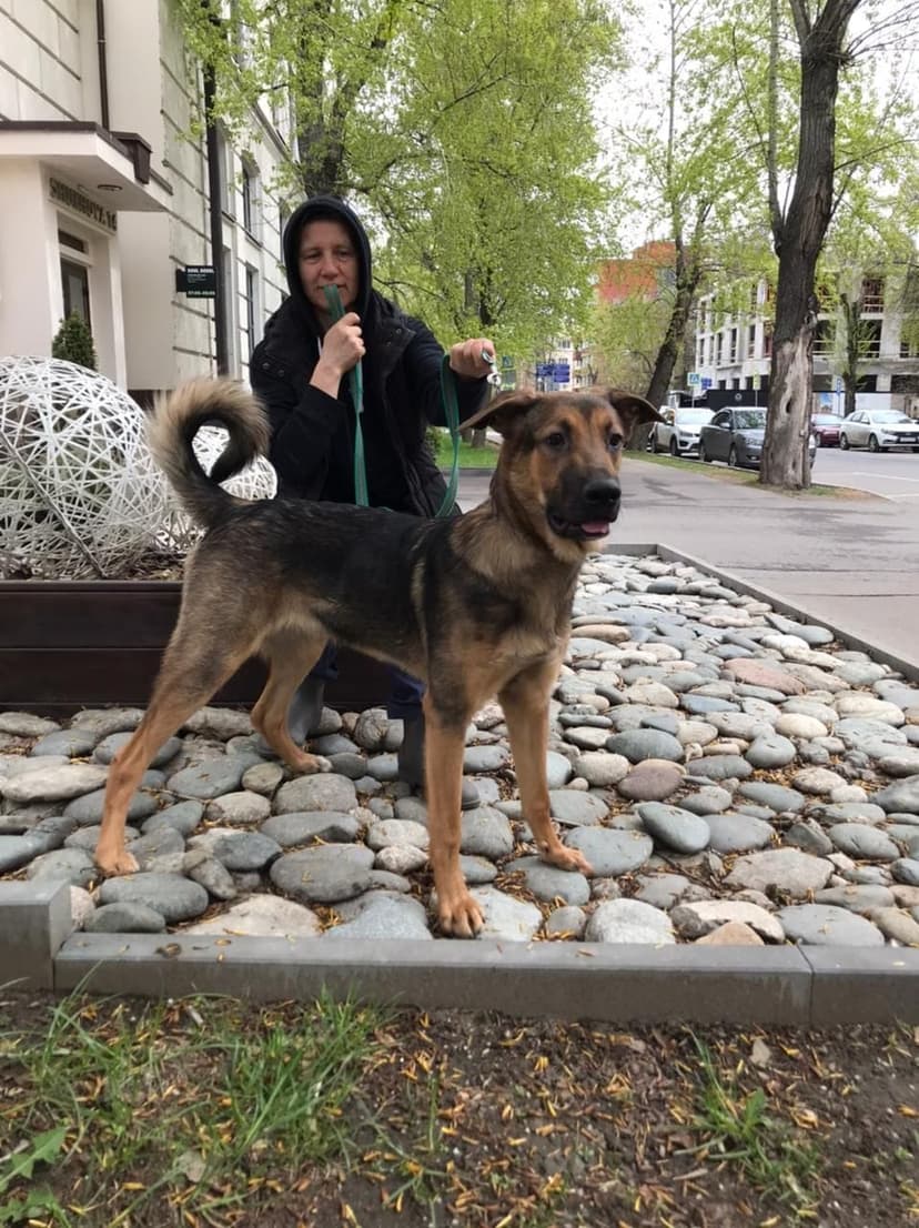 Кеша