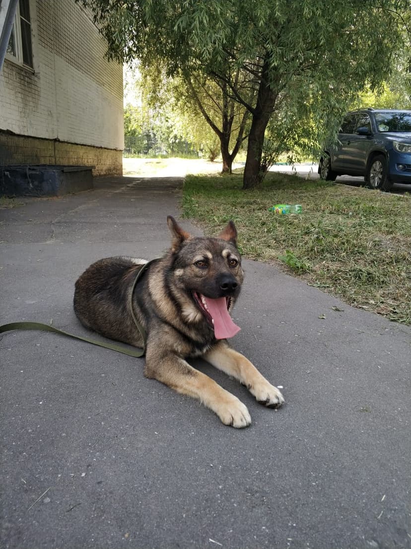 Барон