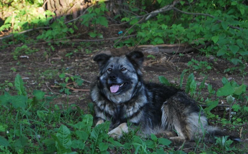 Марта
