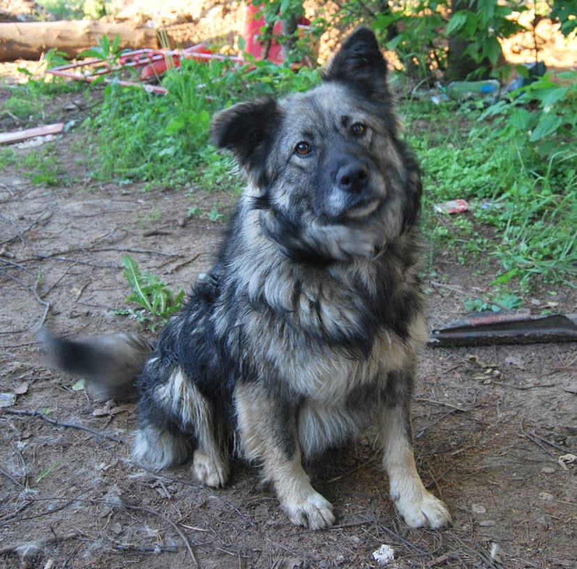 Марта
