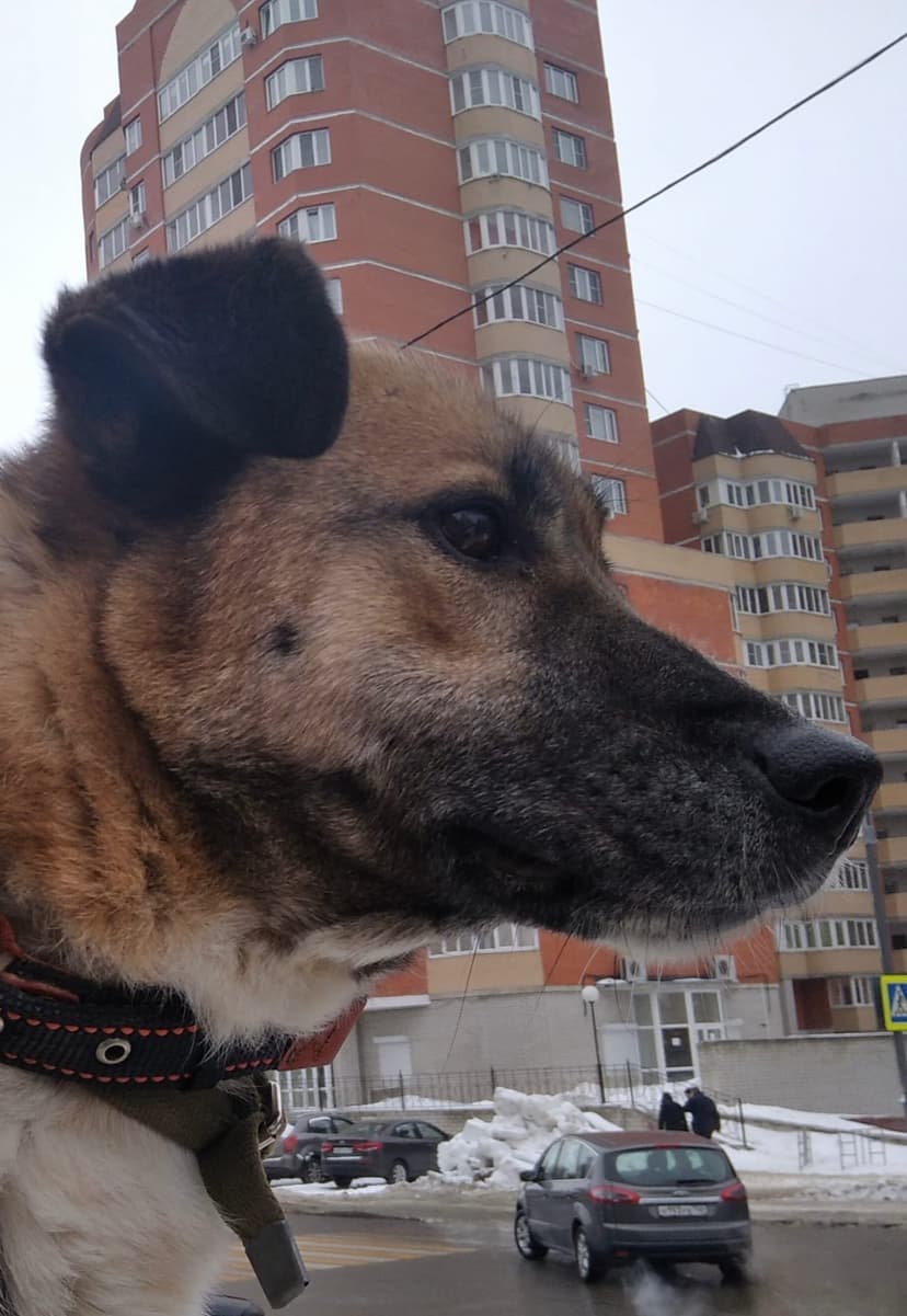Лилу