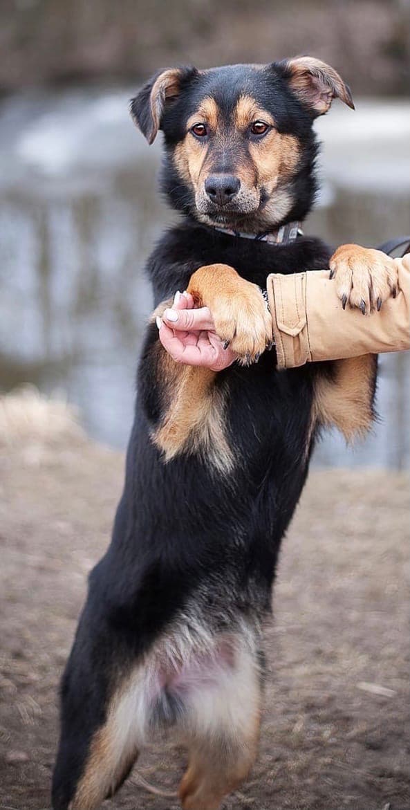 Нэнси