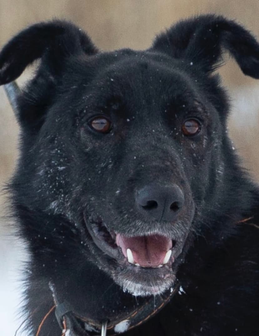Сёма