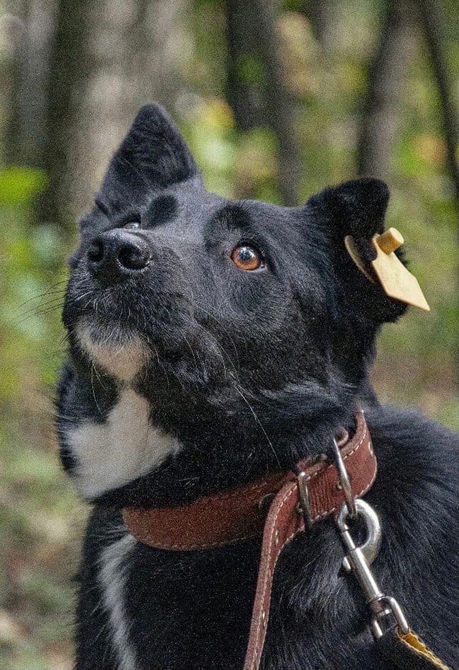 Маня
