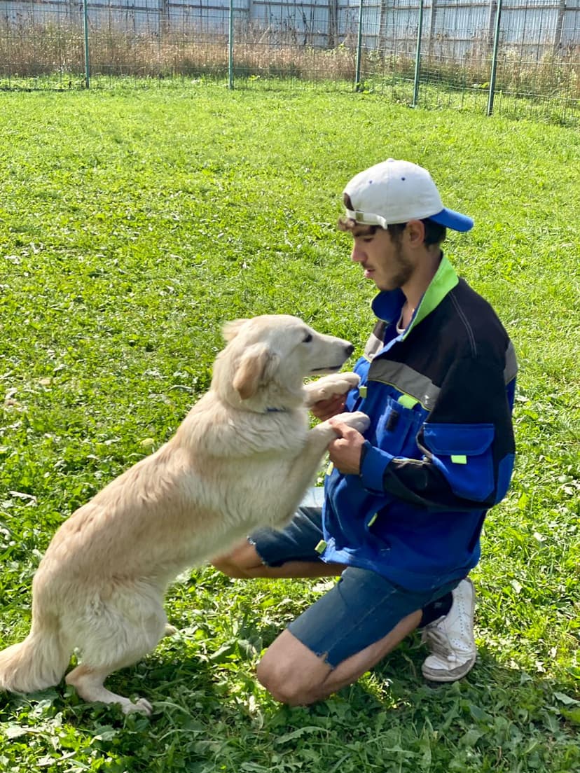 Эльза