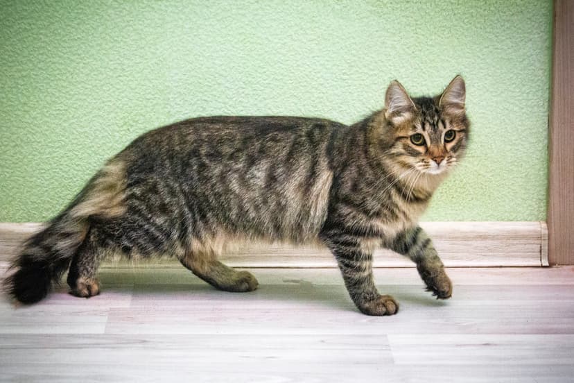 Сара и Зара