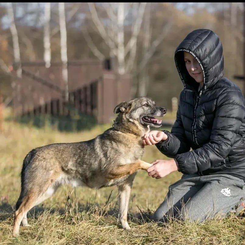 Опик