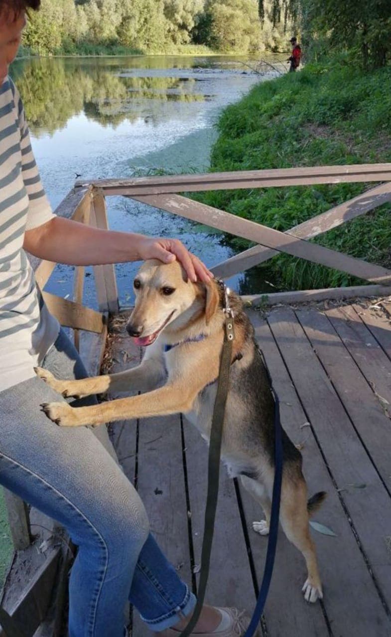 Сэмик