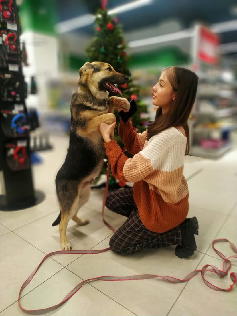 Вуди