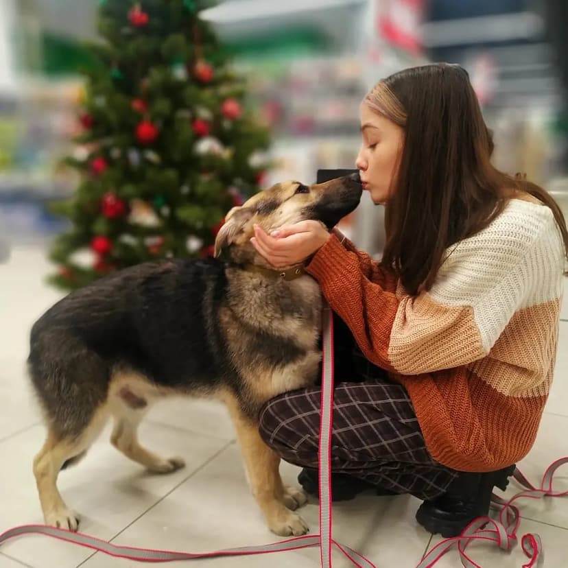 Вуди