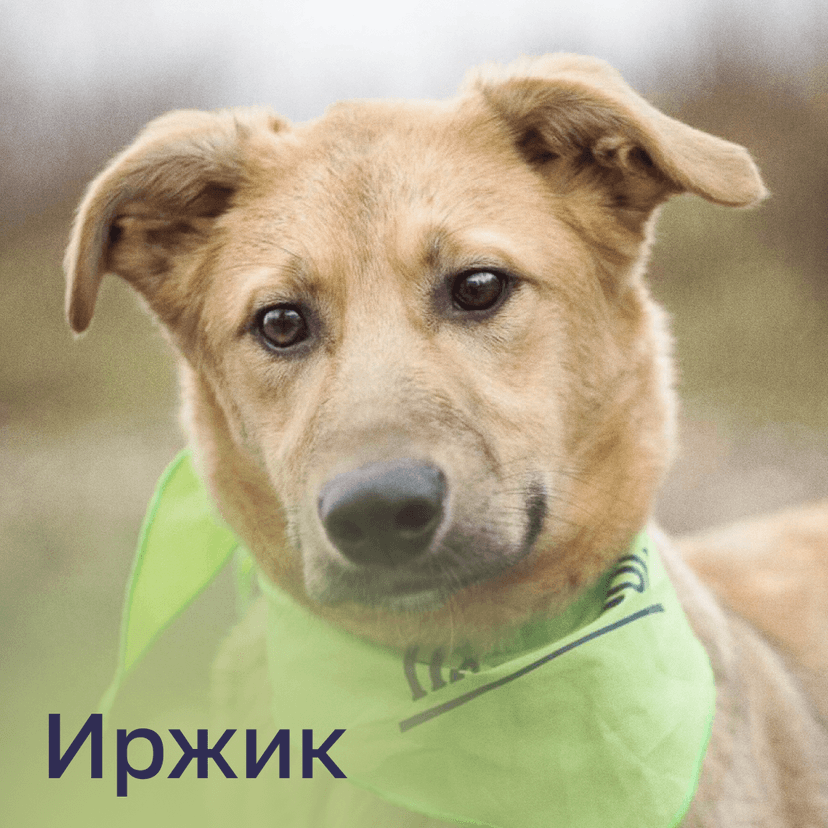 Иржик