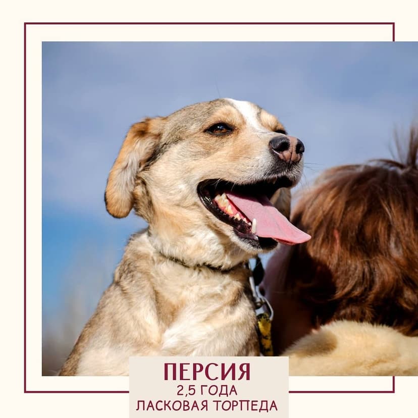 Персия