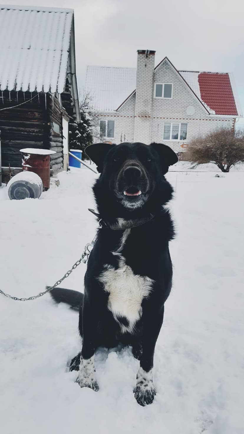 Бимка
