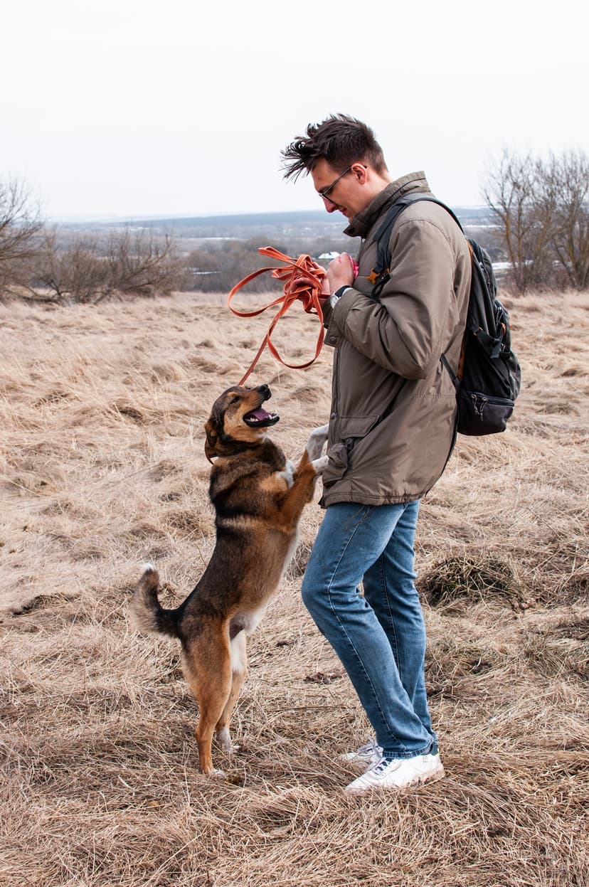 Обнимашка