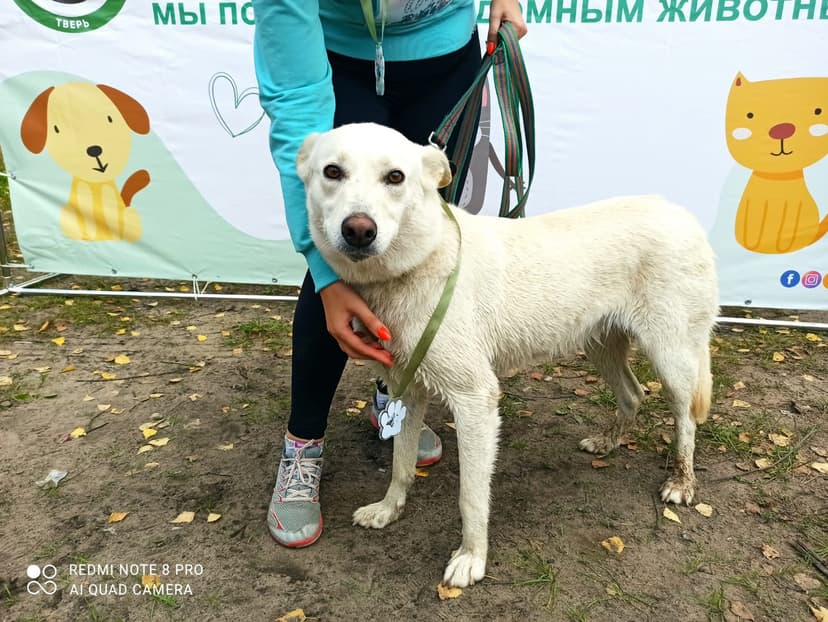 Милка