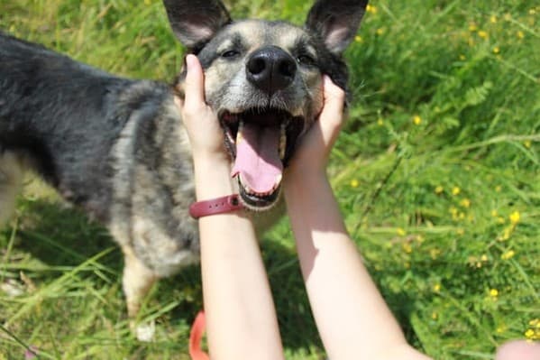 Поло