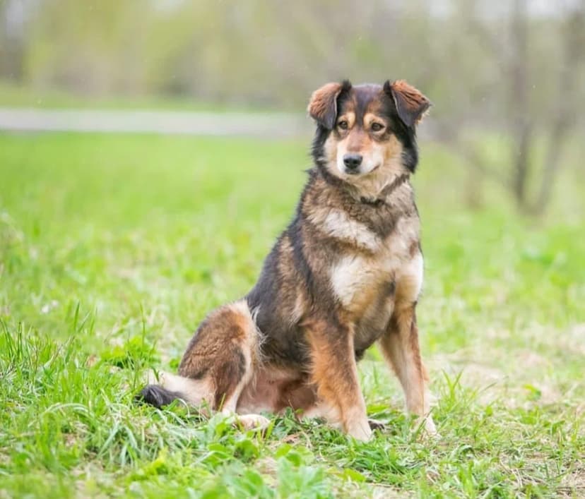 Юна
