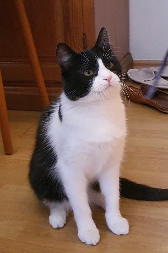 Маркиз