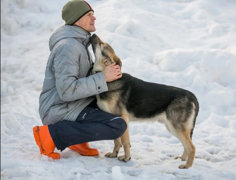 Вуди