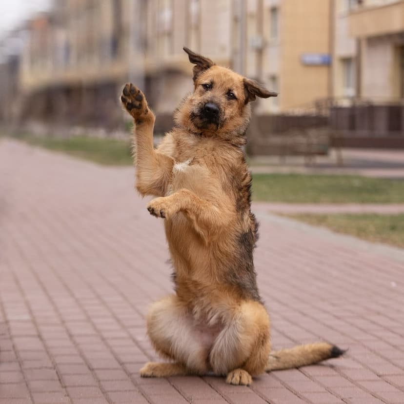 Никки