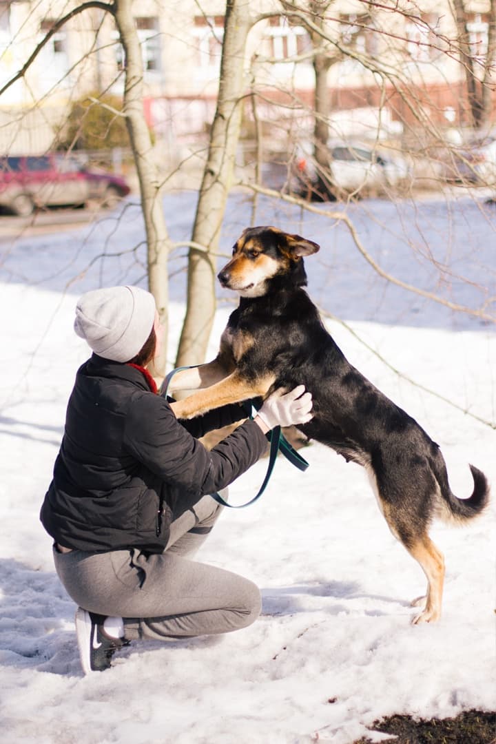 Джуля