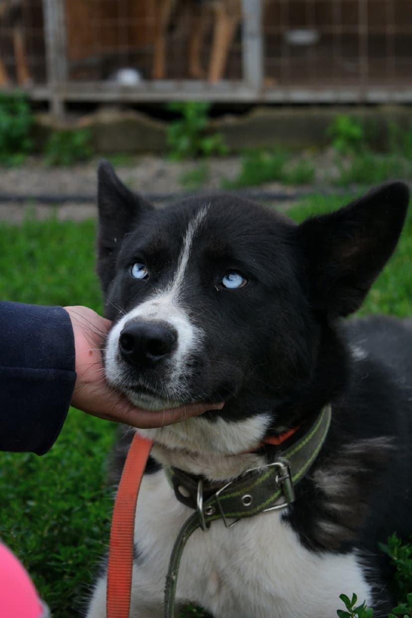 ЛУНА