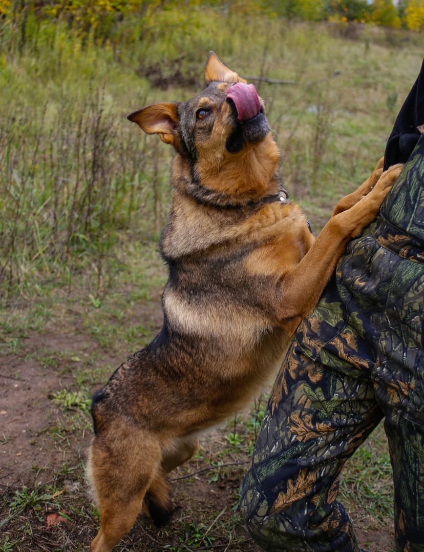 Гера
