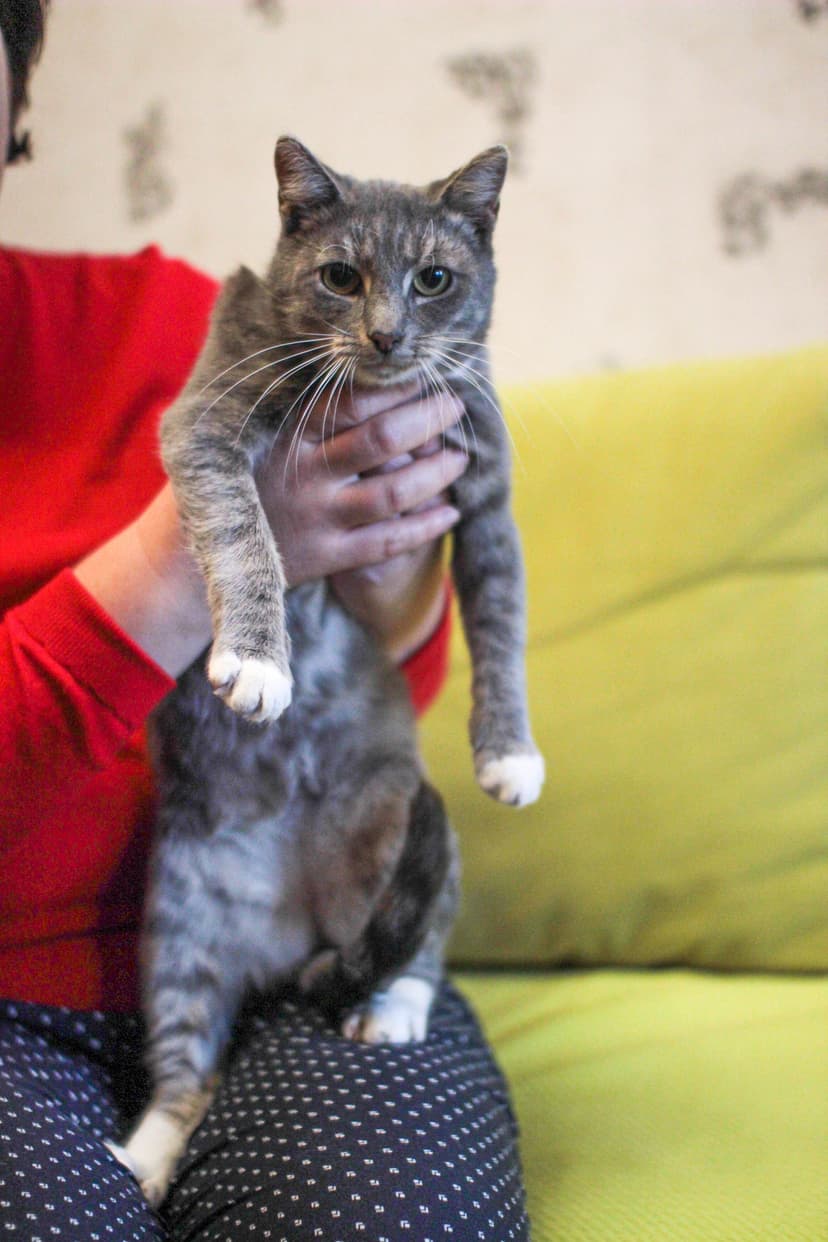 Котя